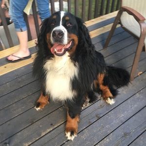 Meet your Posher, Jack